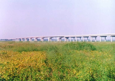 東明黃河大橋