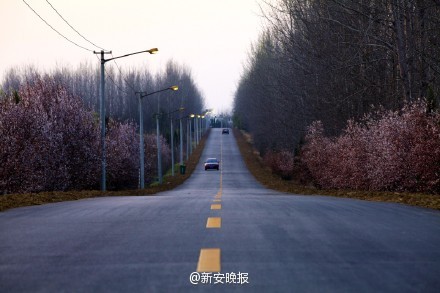 合肥最美鄉(xiāng)村公路